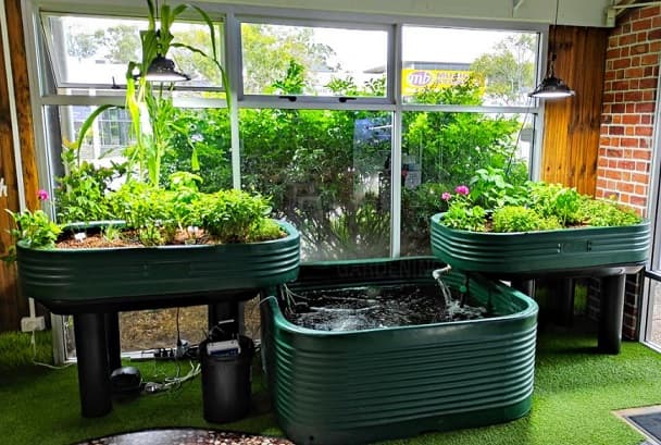EcoGrow: Smart Aquaponics Powered by AI & IoT